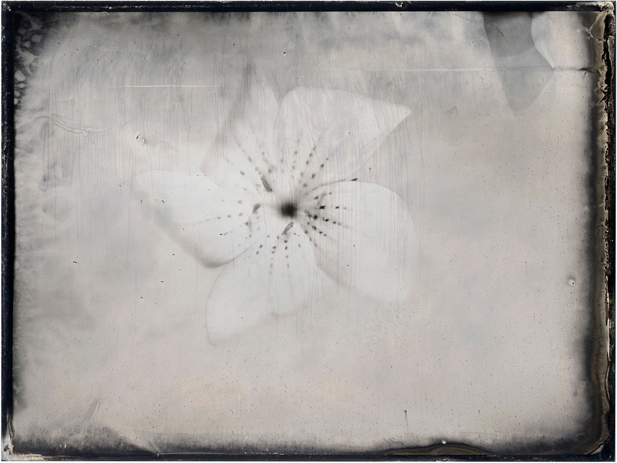 Lara Porzak, “Pinwheel”, 2024