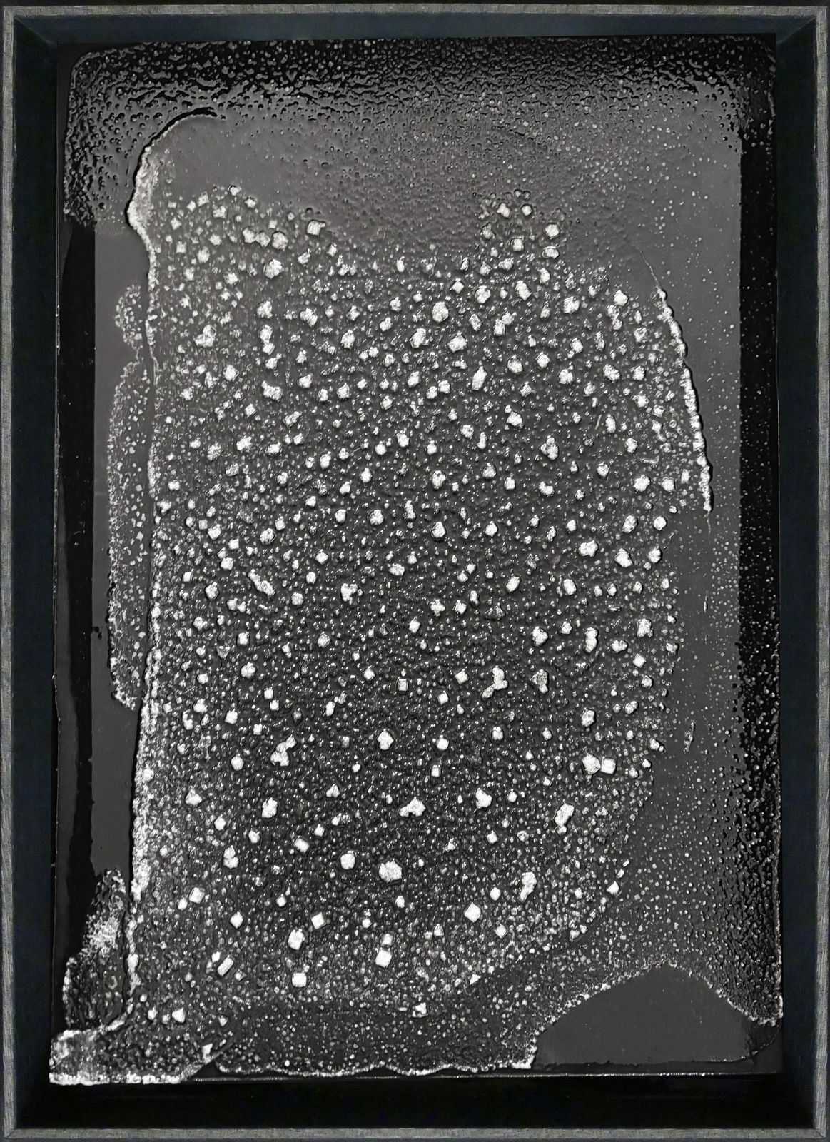 ADRA Studio, Salt Gardens 006, 2022