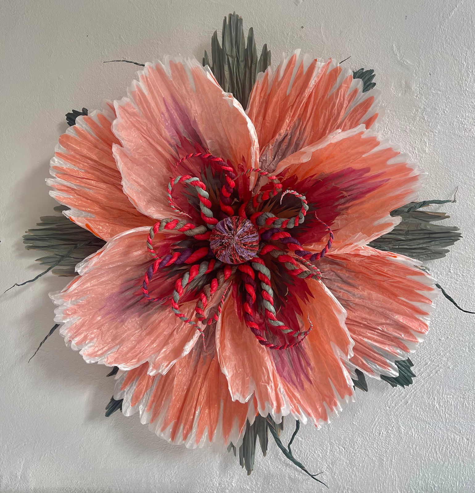 Marianne Eriksen Scott-Hansen, Coral