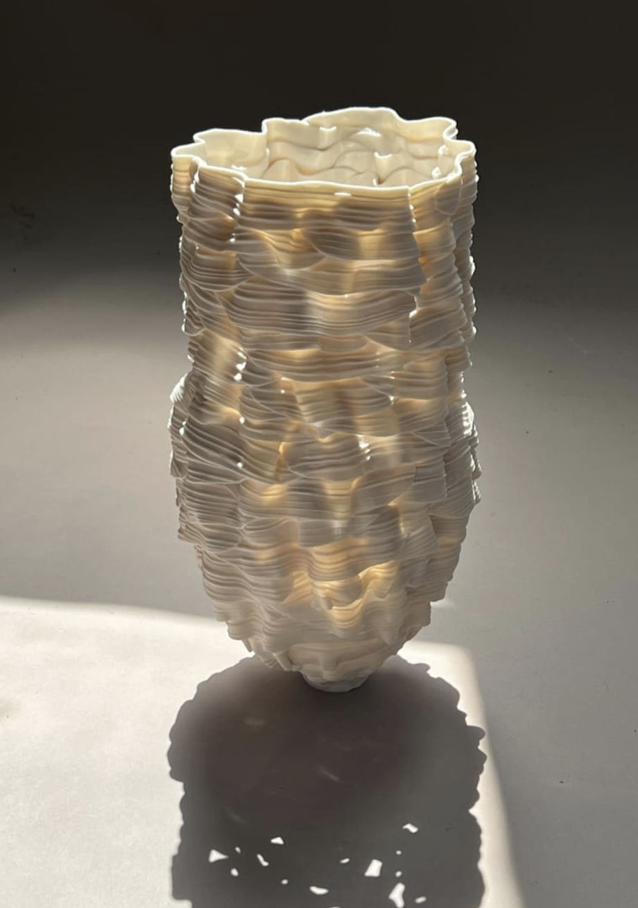 Leah Kaplan, Ribbon vida