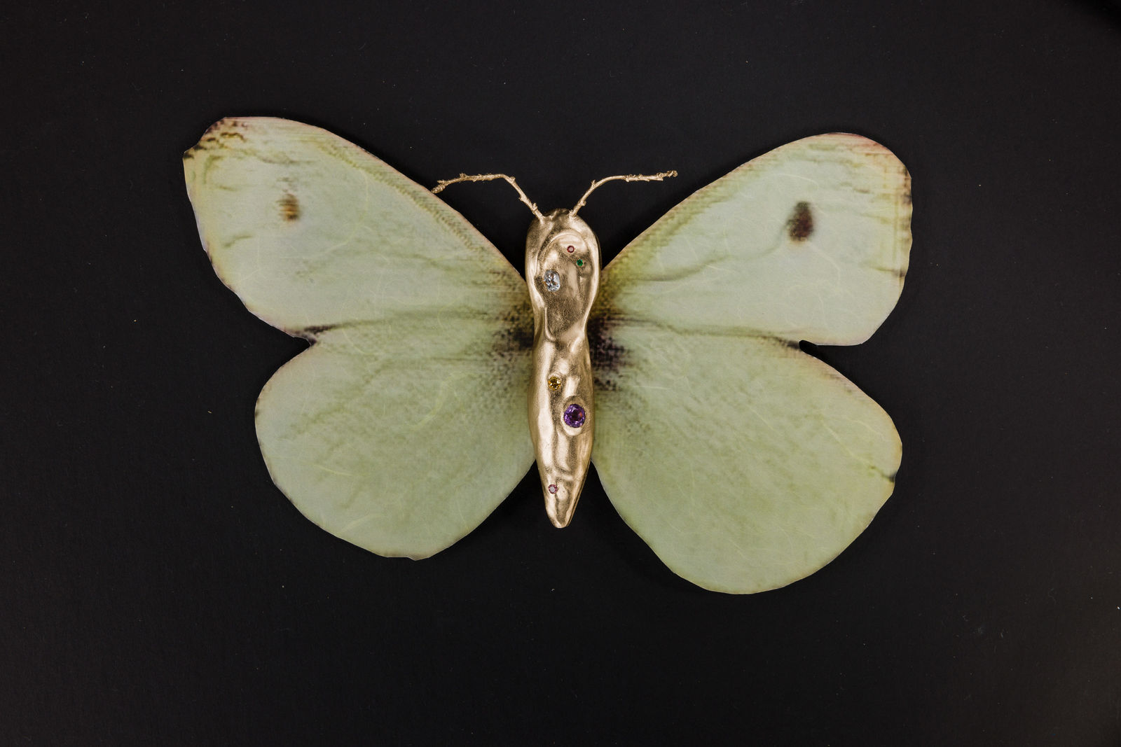 aurèce vettier, lunamare caelestis (among Vatican roses), 2024