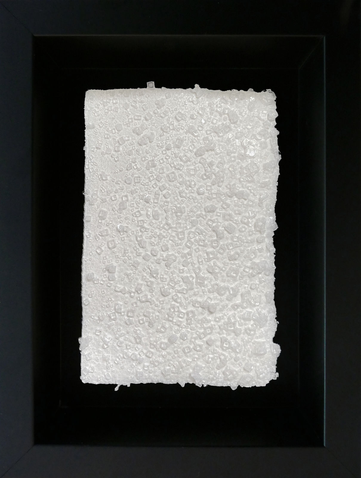 ADRA Studio, Foam, 2023