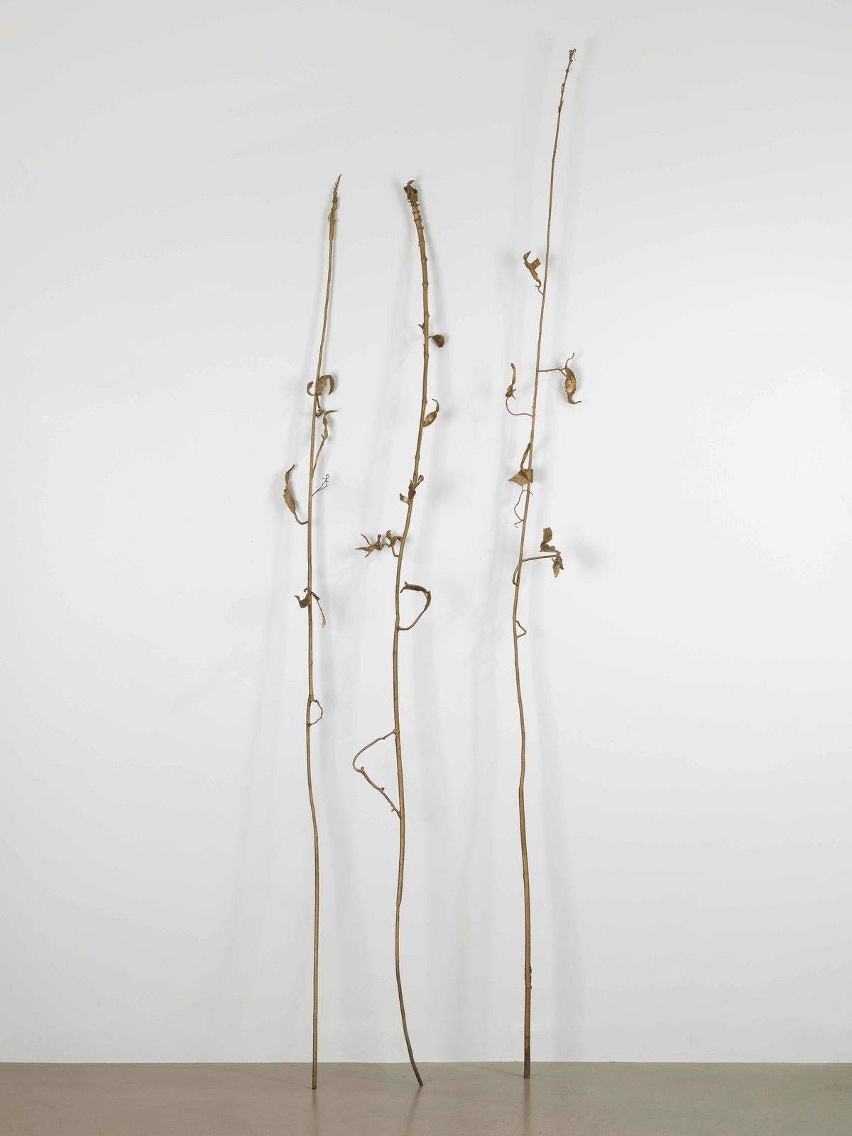 aurèce vettier, bitter-hemp, 2022