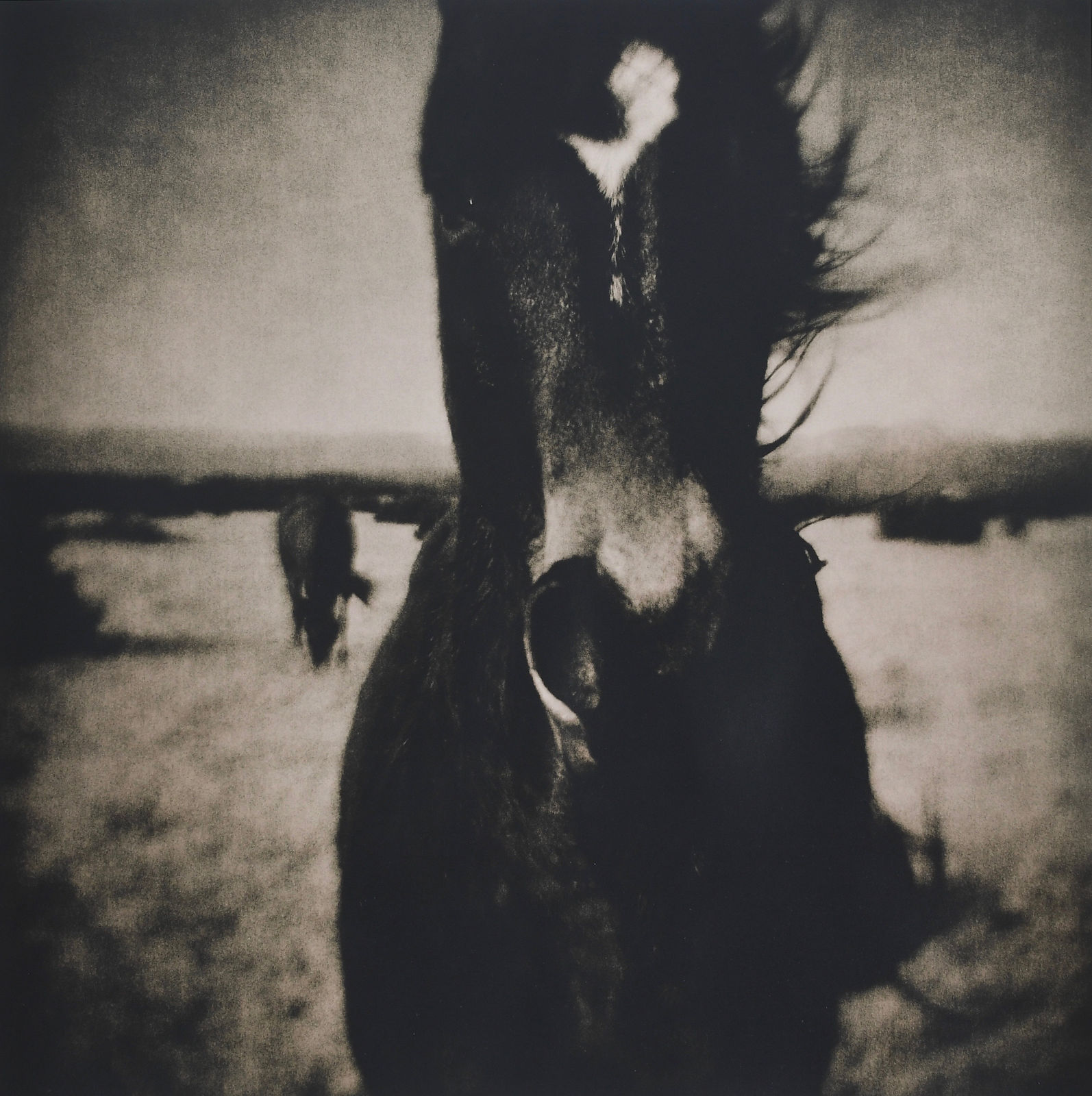 Lara Porzak, Morgan, 2014