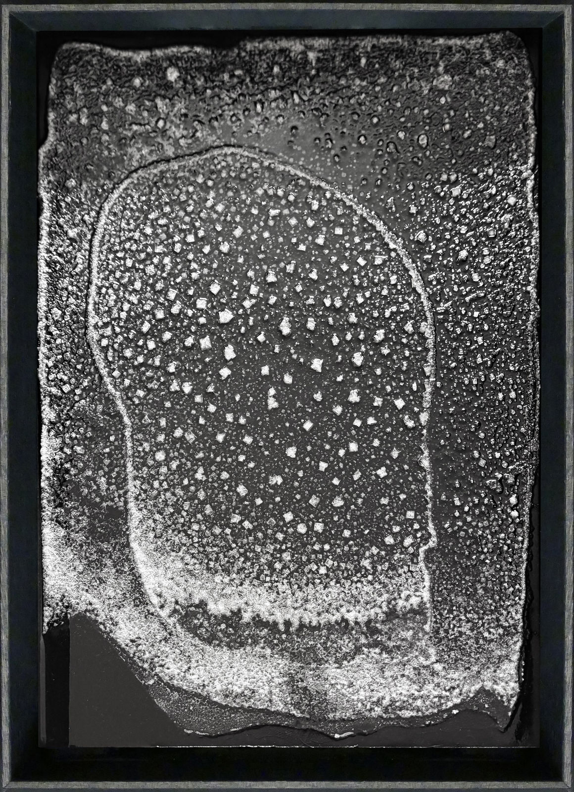 ADRA Studio, Salt Gardens 005, 2022