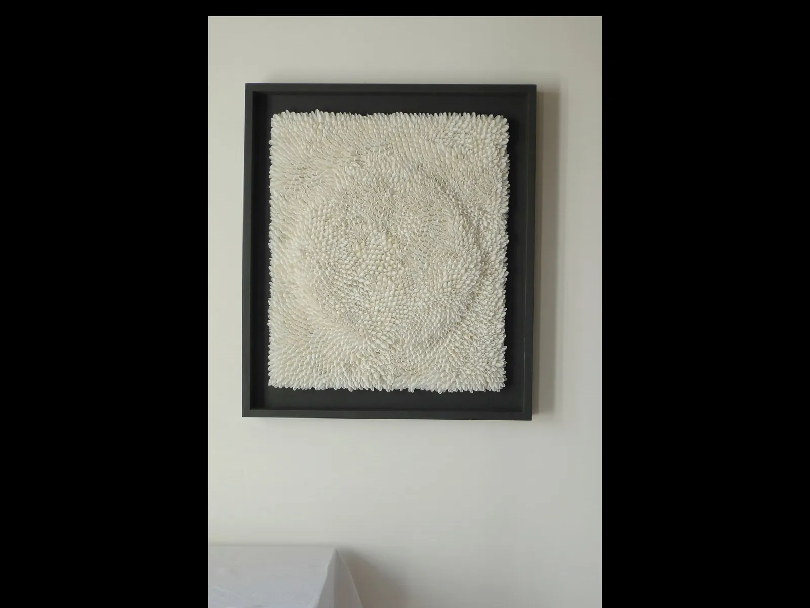 Blott Kerr Wilson, Bubble Shell Commission