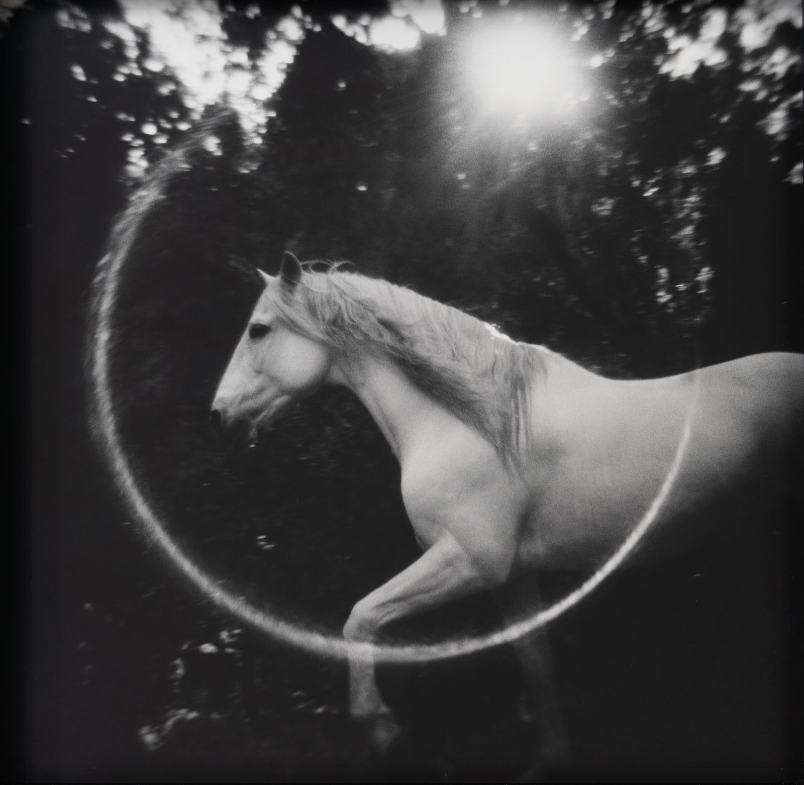 Lara Porzak, Flair, 2013