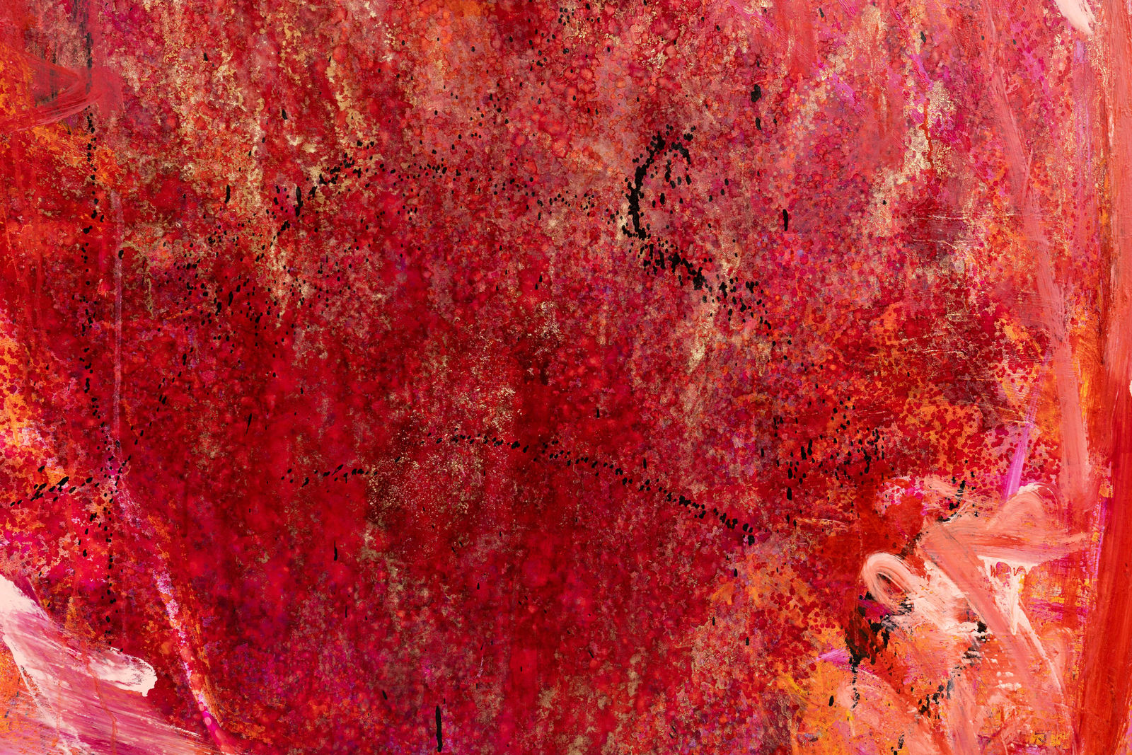 Zach Zono, Rush, 2025