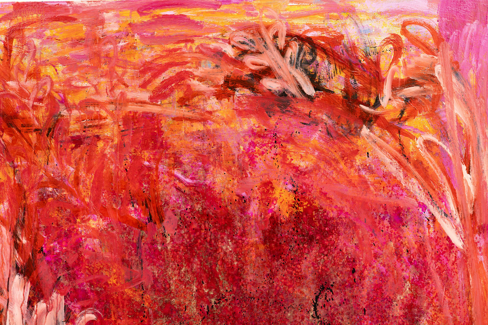 Zach Zono, Rush, 2025