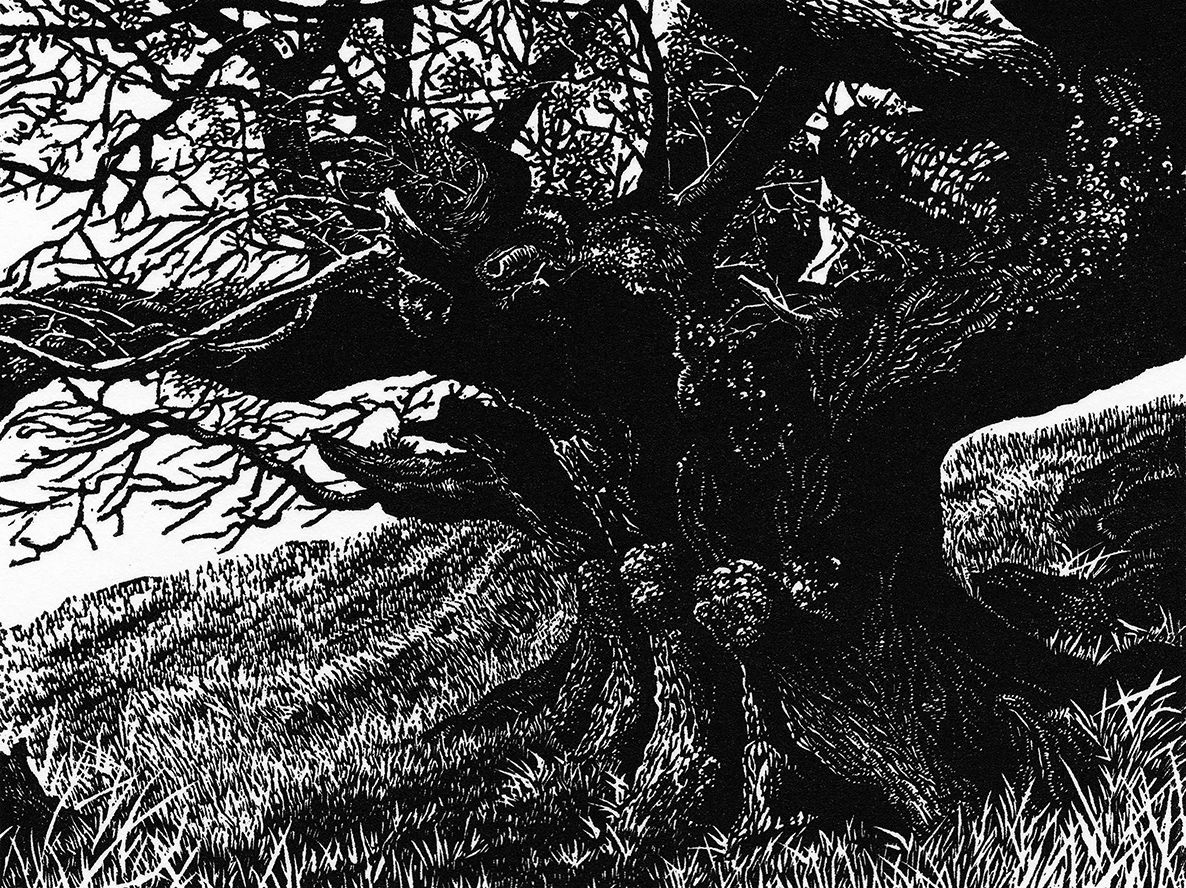 Blaze Cyan R.E.,, The General (West) , 2020