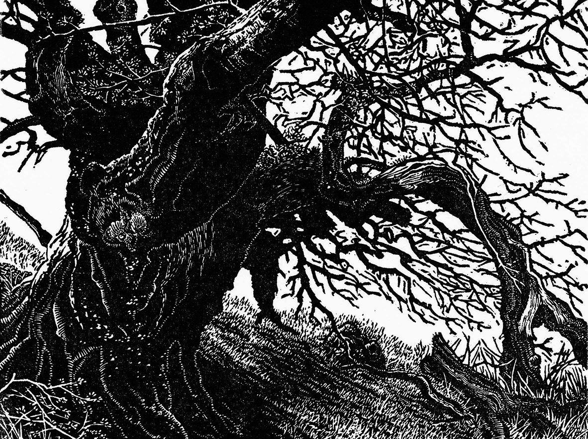 Blaze Cyan R.E.,, The General (East) , 2020