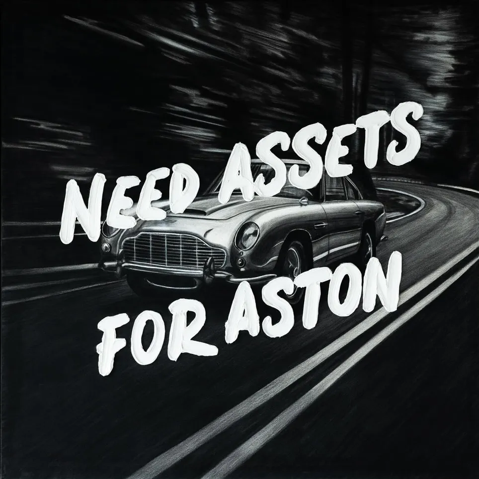 Werner Bronkhorst, Need Assets for Aston, 2024