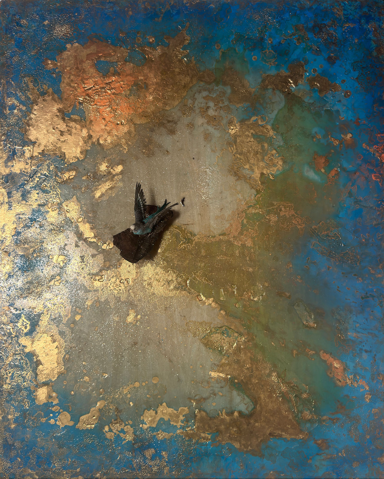 Jay Mikal, COMPASS TO CANAAN +001, 2025