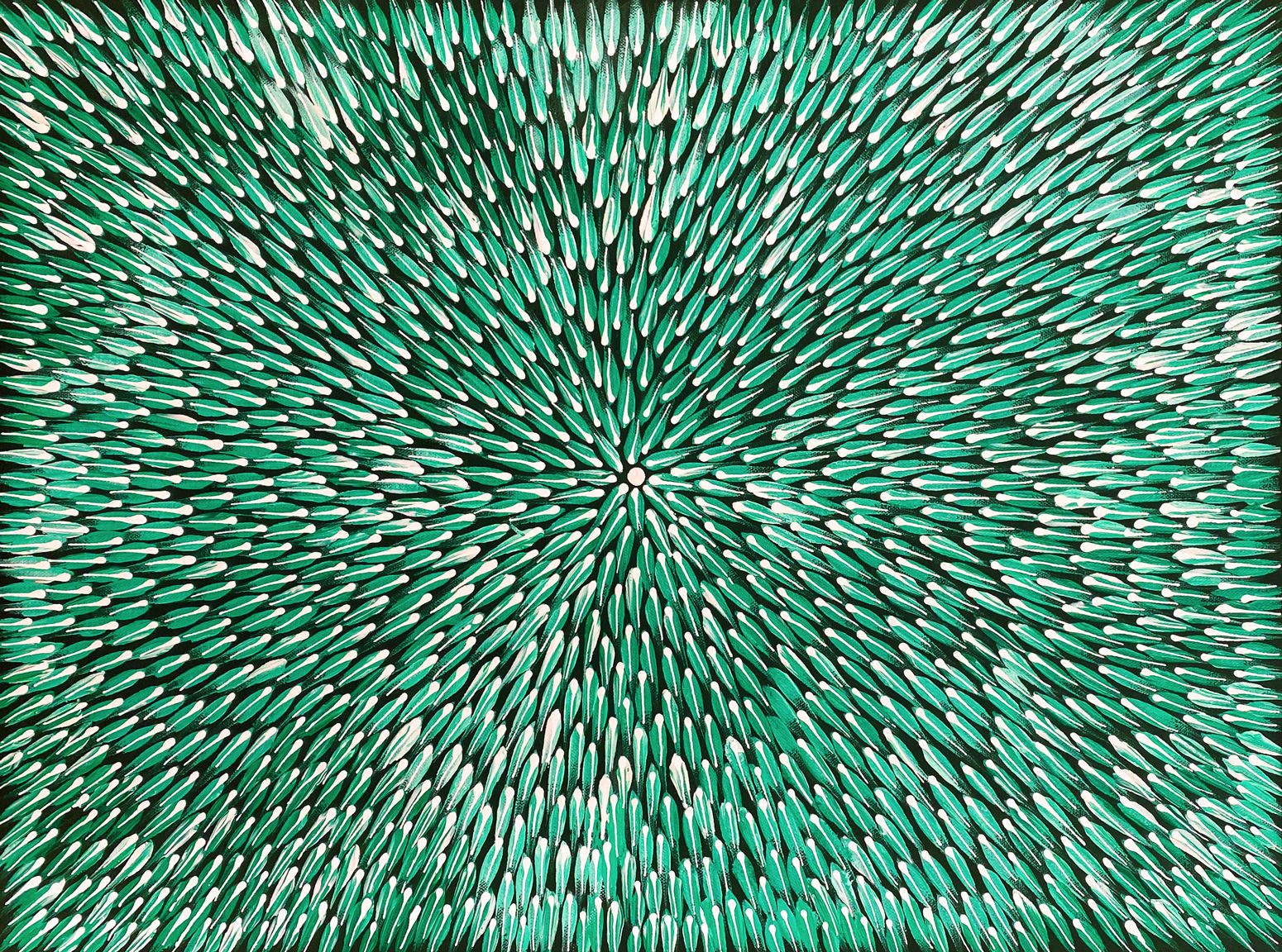 Bush Medicine by Louise McMillan