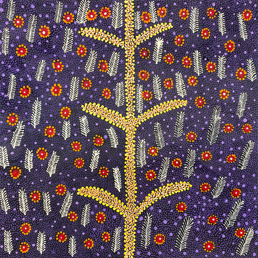 Bush Medicine (Alpar) by June Bird Ngale