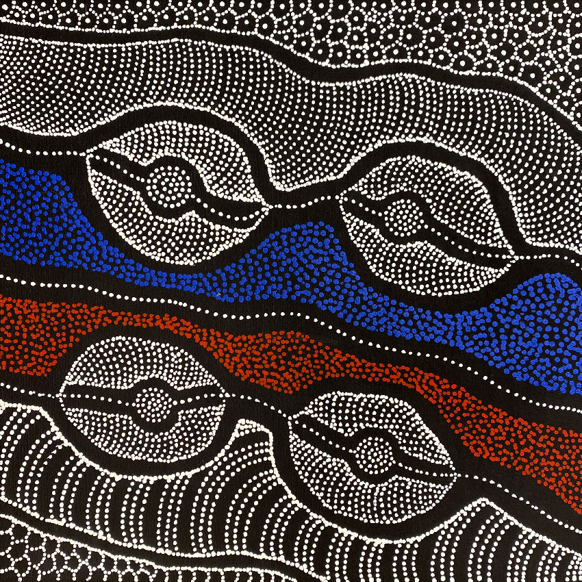 My Country by Delvine Pitjara