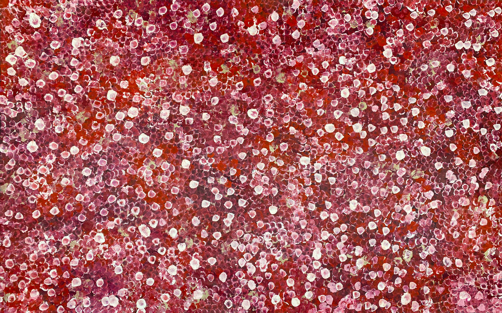 Bush Plum Dreaming by Belinda Golder Kngwarreye