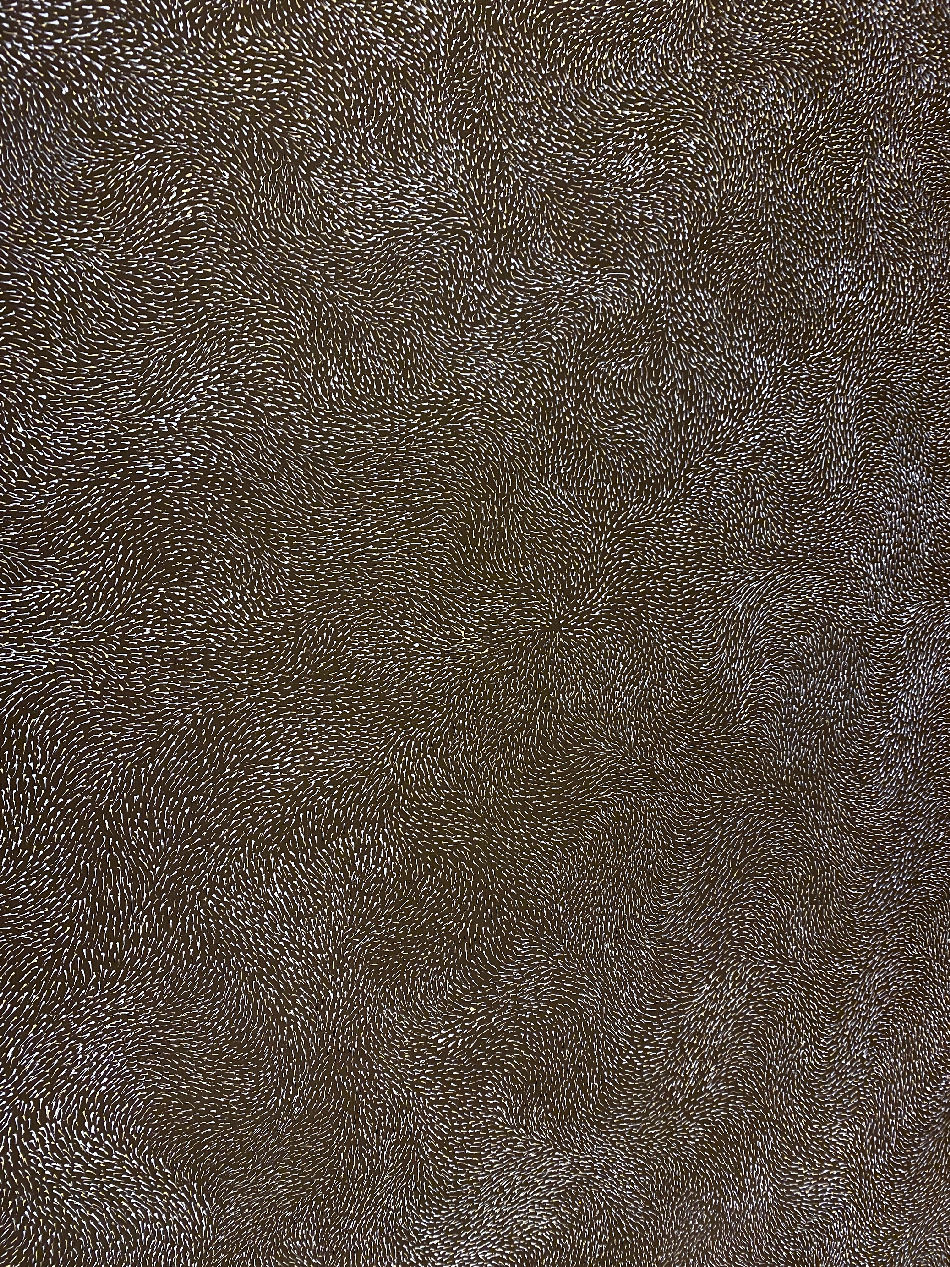 Yam Seeds in my Grandmother's Country by Elizabeth Kunoth Kngwarreye, 2019
