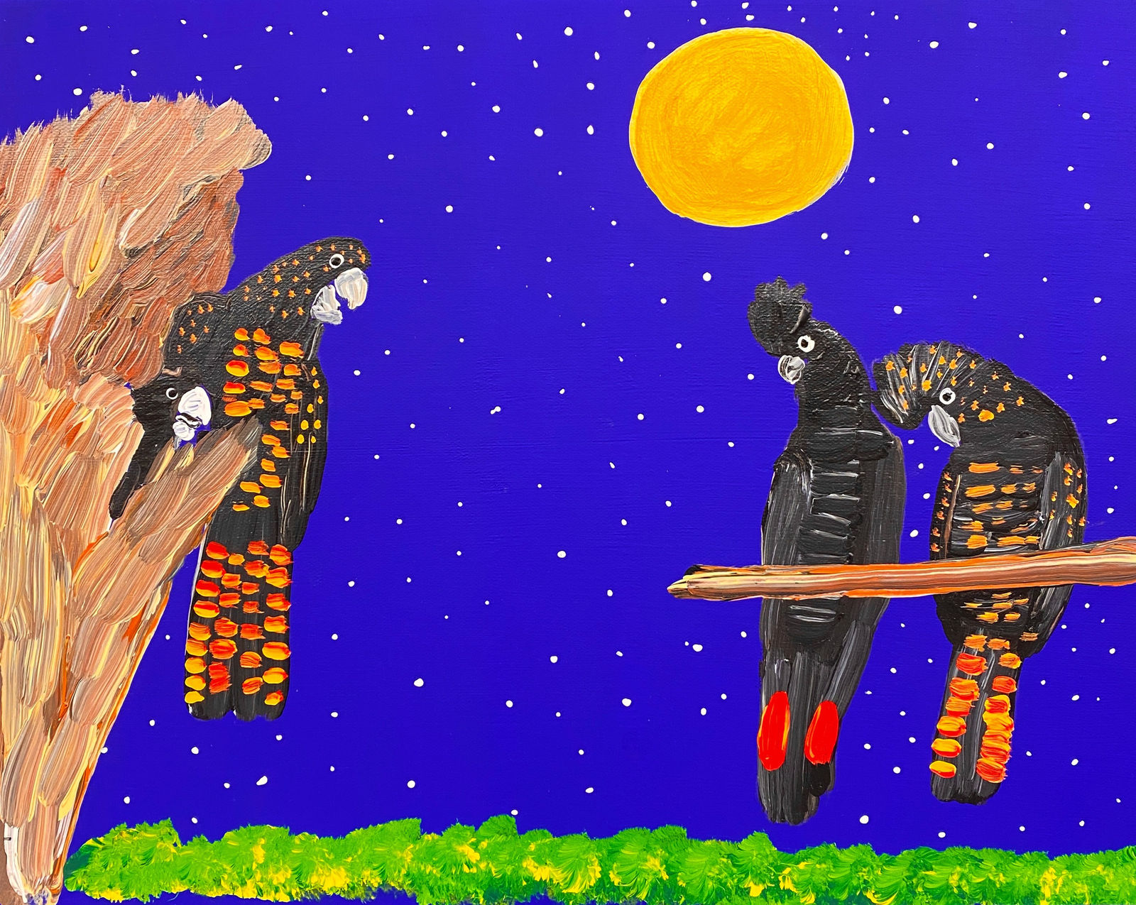 Red-tailed Black Cockatoos Under the Stars by Kukula McDonald