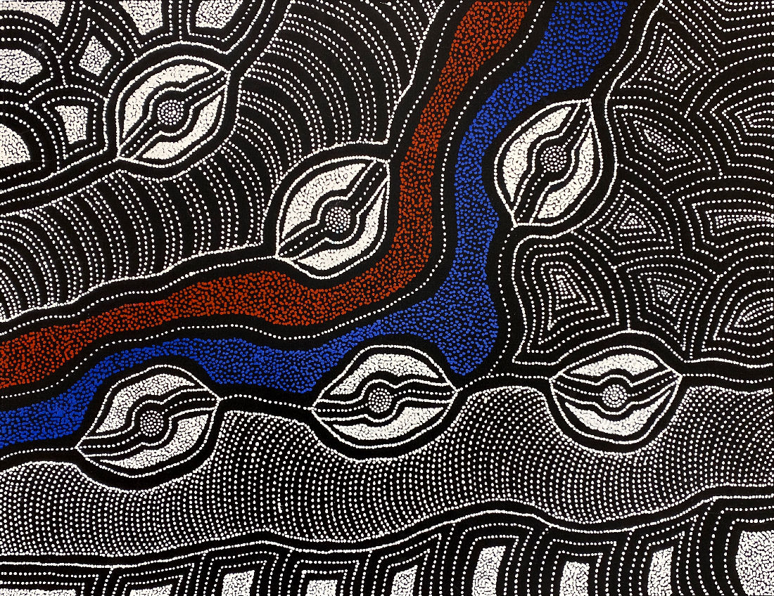 My Country by Delvine Pitjara