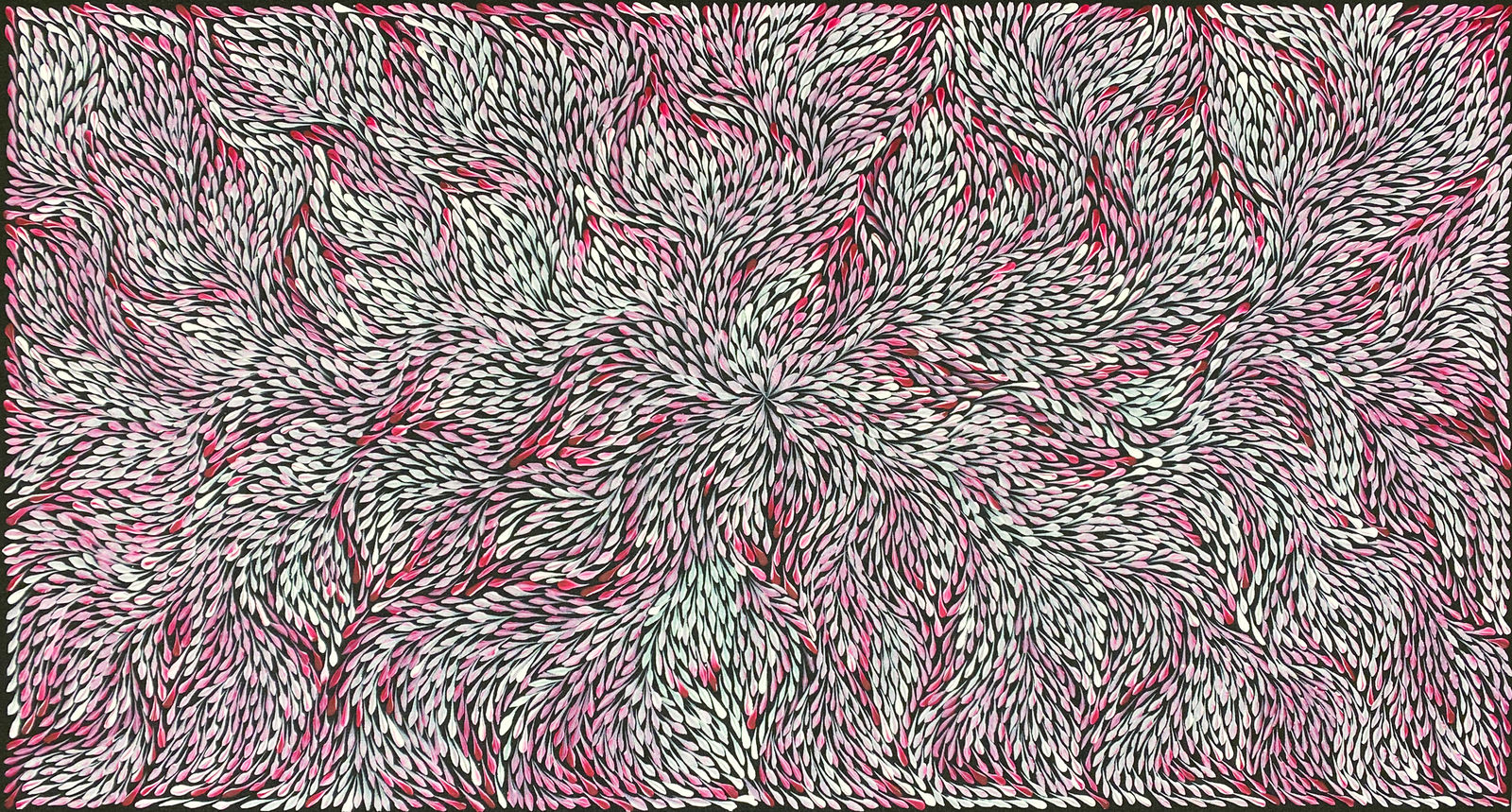 Bush Medicine Leaves by Sacha Long