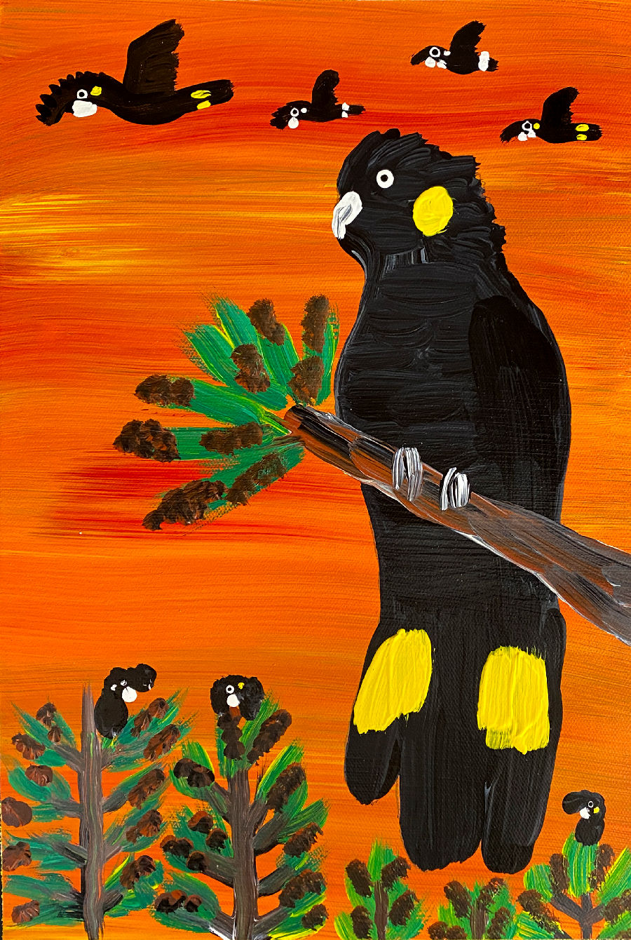 Yellow-bums looking for seeds on those spiky trees by Kukula McDonald, 2025