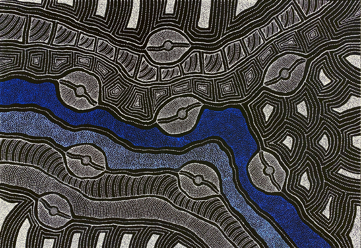 My Country by Delvine Pitjara