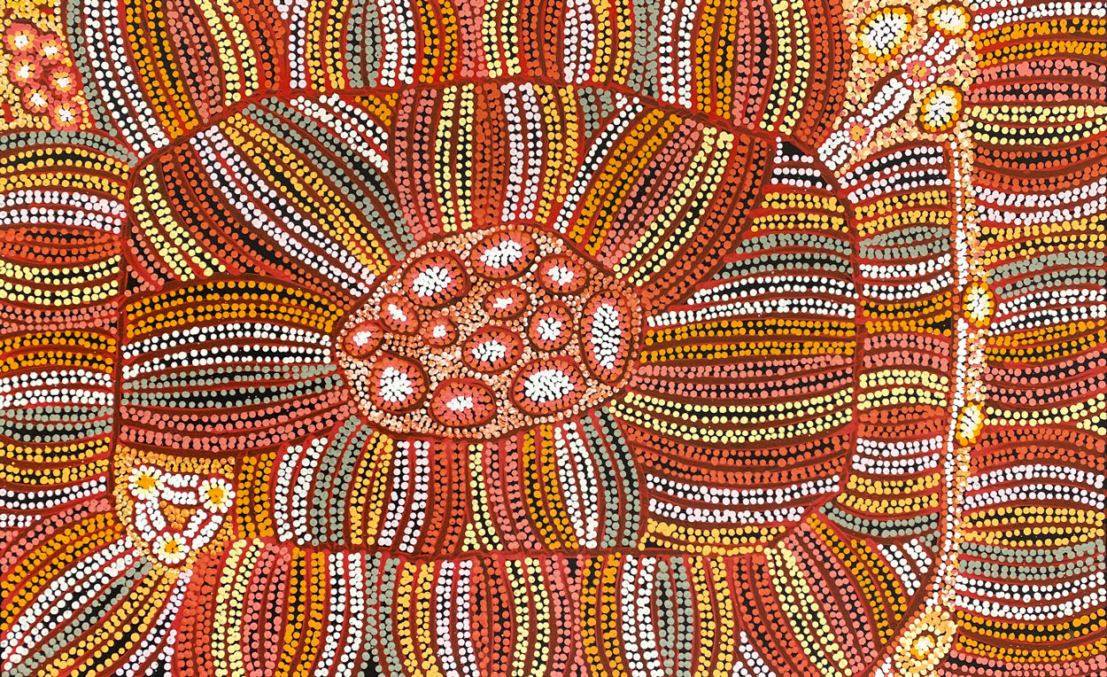 Bush Raisin Dreaming by Esther Bruno Nangala