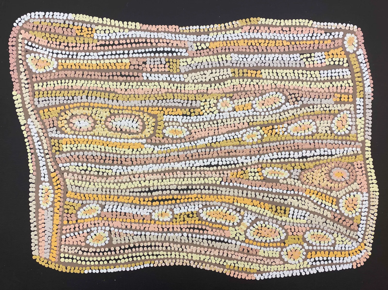 Bush Raisin Dreaming by Esther Bruno Nangala