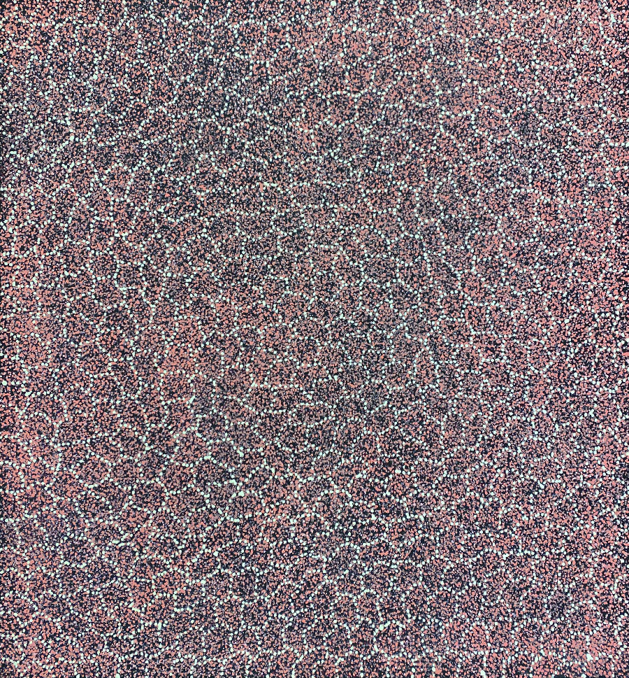 Bush Plum Dreaming by Cindy Morton, 2025