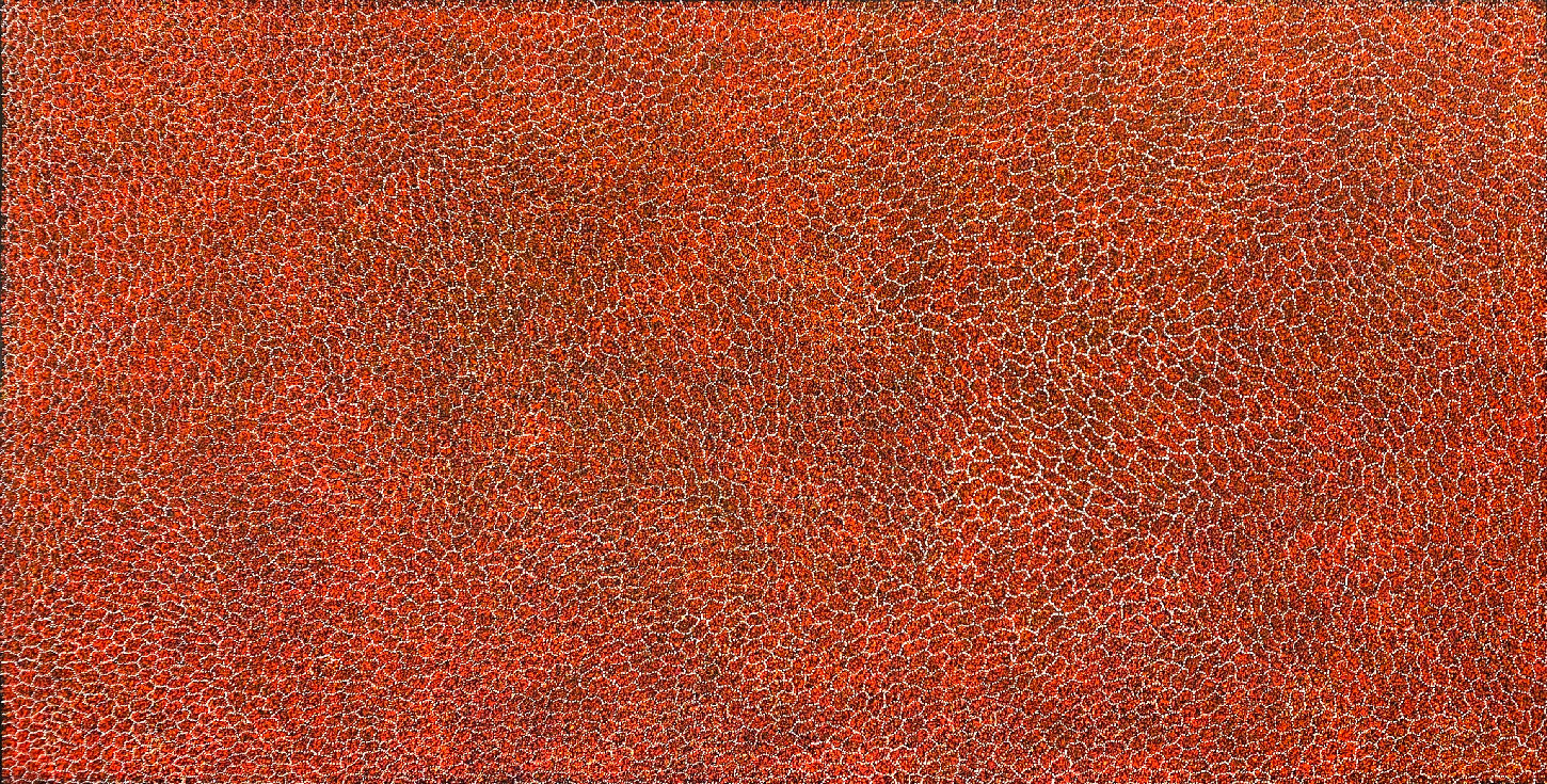 Bush Plum Dreaming by Cindy Morton