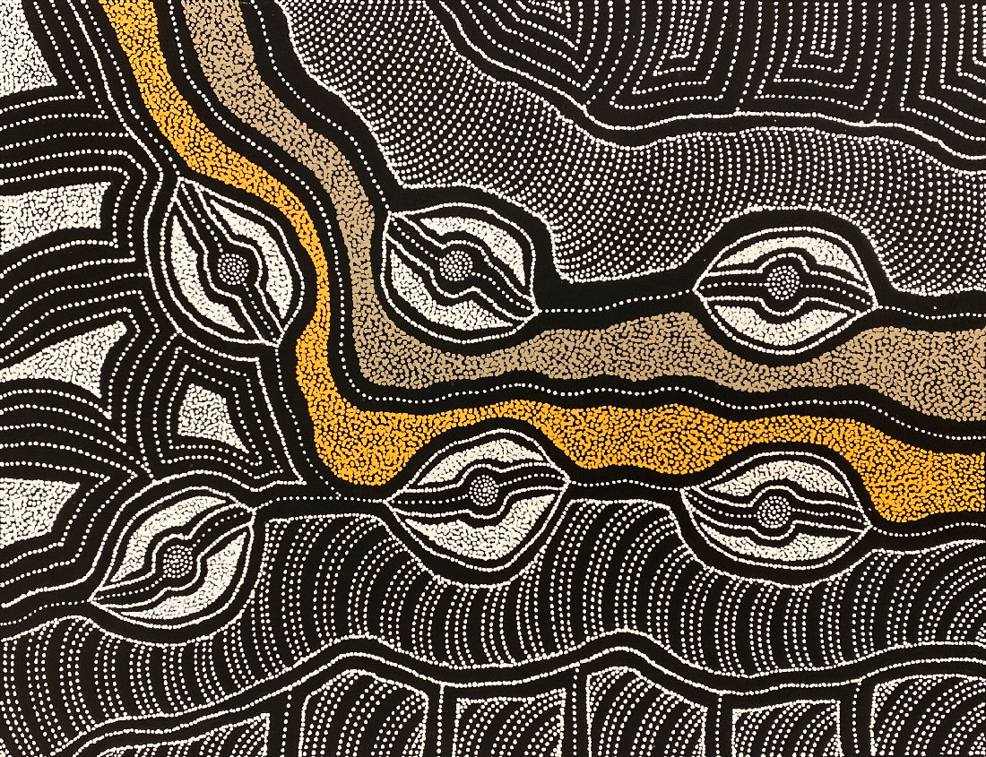 My Country by Delvine Pitjara