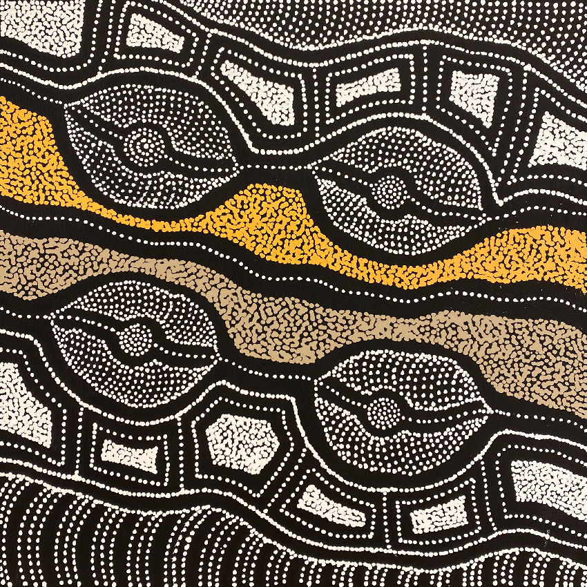 My Country by Delvine Pitjara