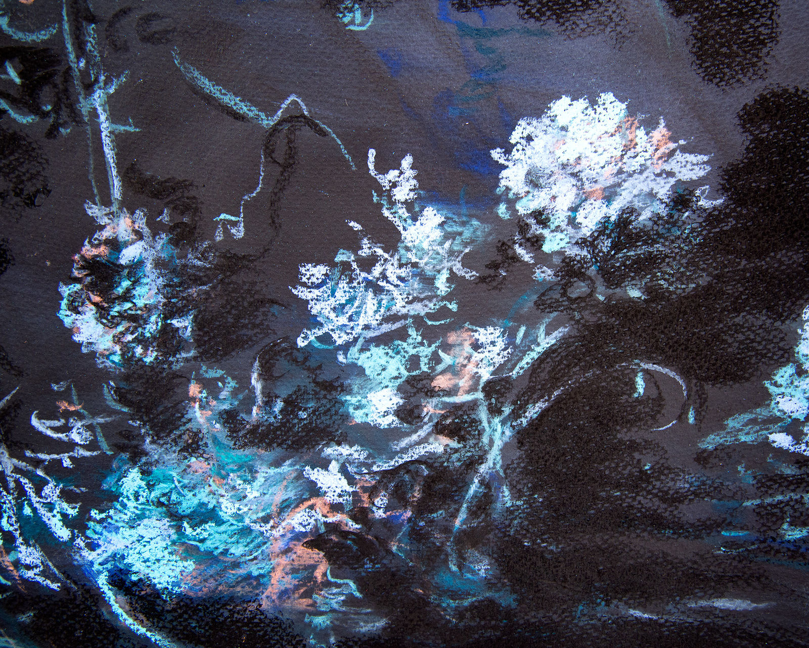 António Faria, Flores Delicadas que não tem Medo da Morte, Black Series I, 2024