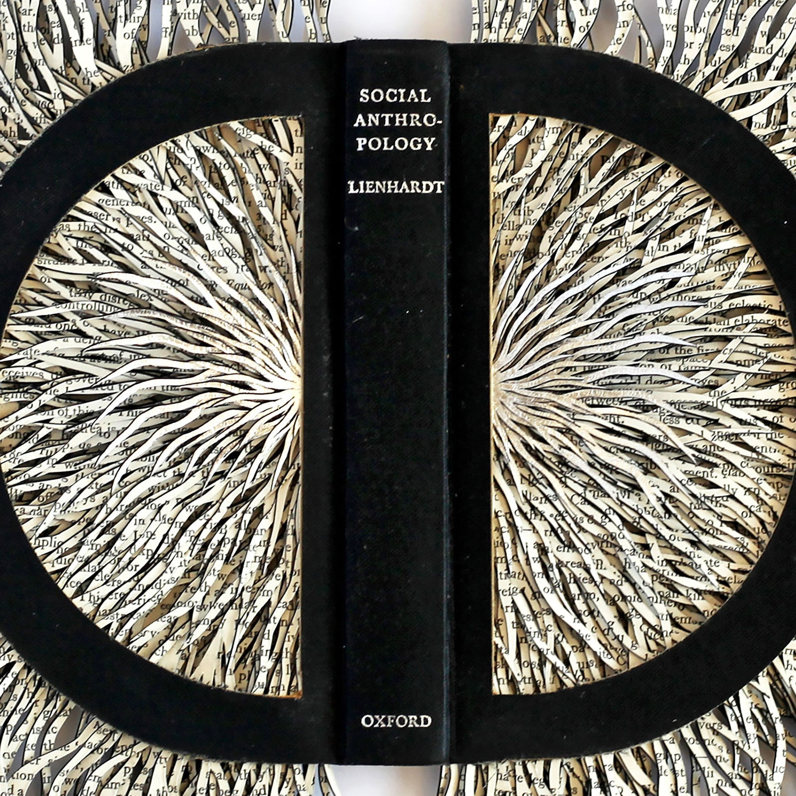 Barbara Wildenboer, Social Anthropology, 2022