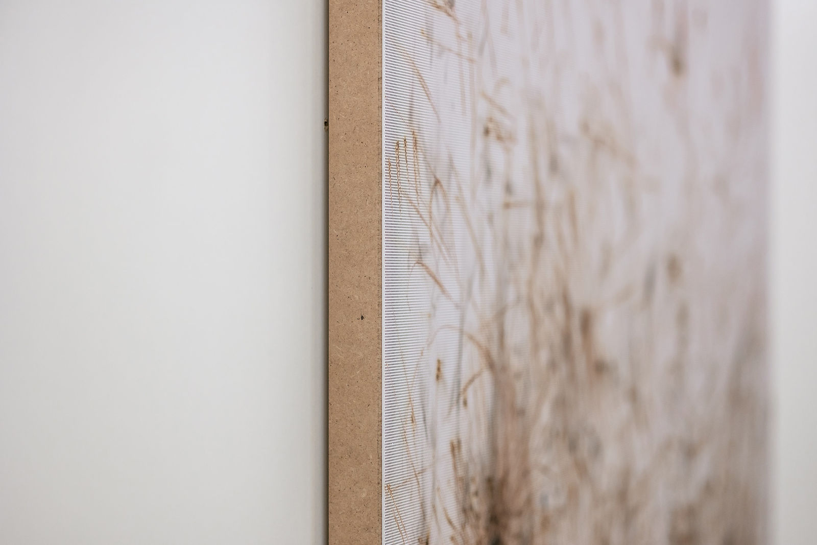 Thomas Wachholz, Matches 4, 2017