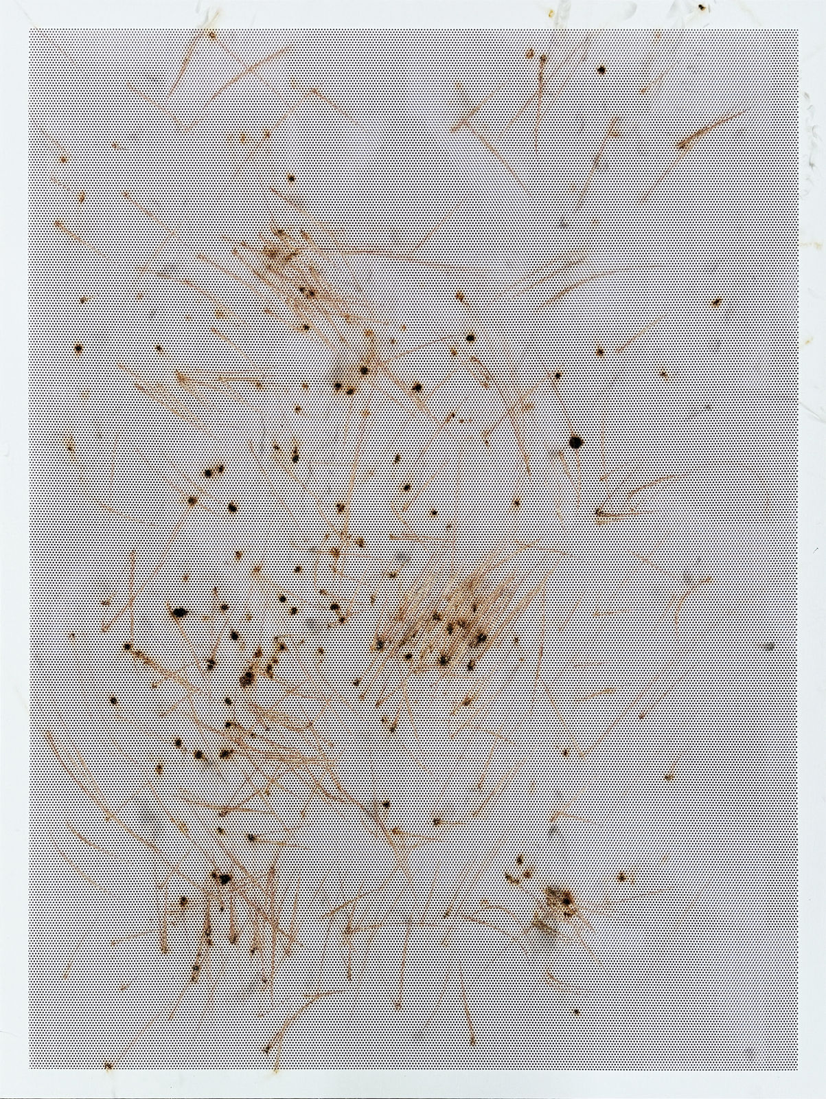 Thomas Wachholz, Honeycomb VI , 2024