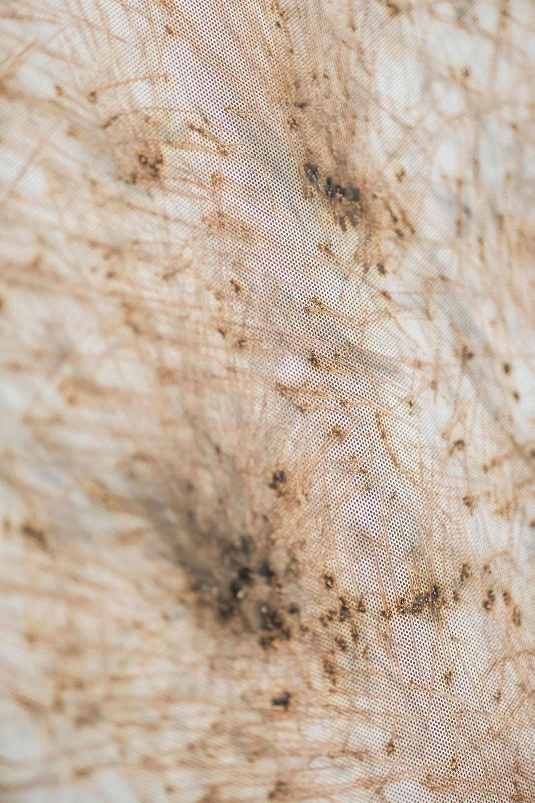 Thomas Wachholz, Matches 2, 2017