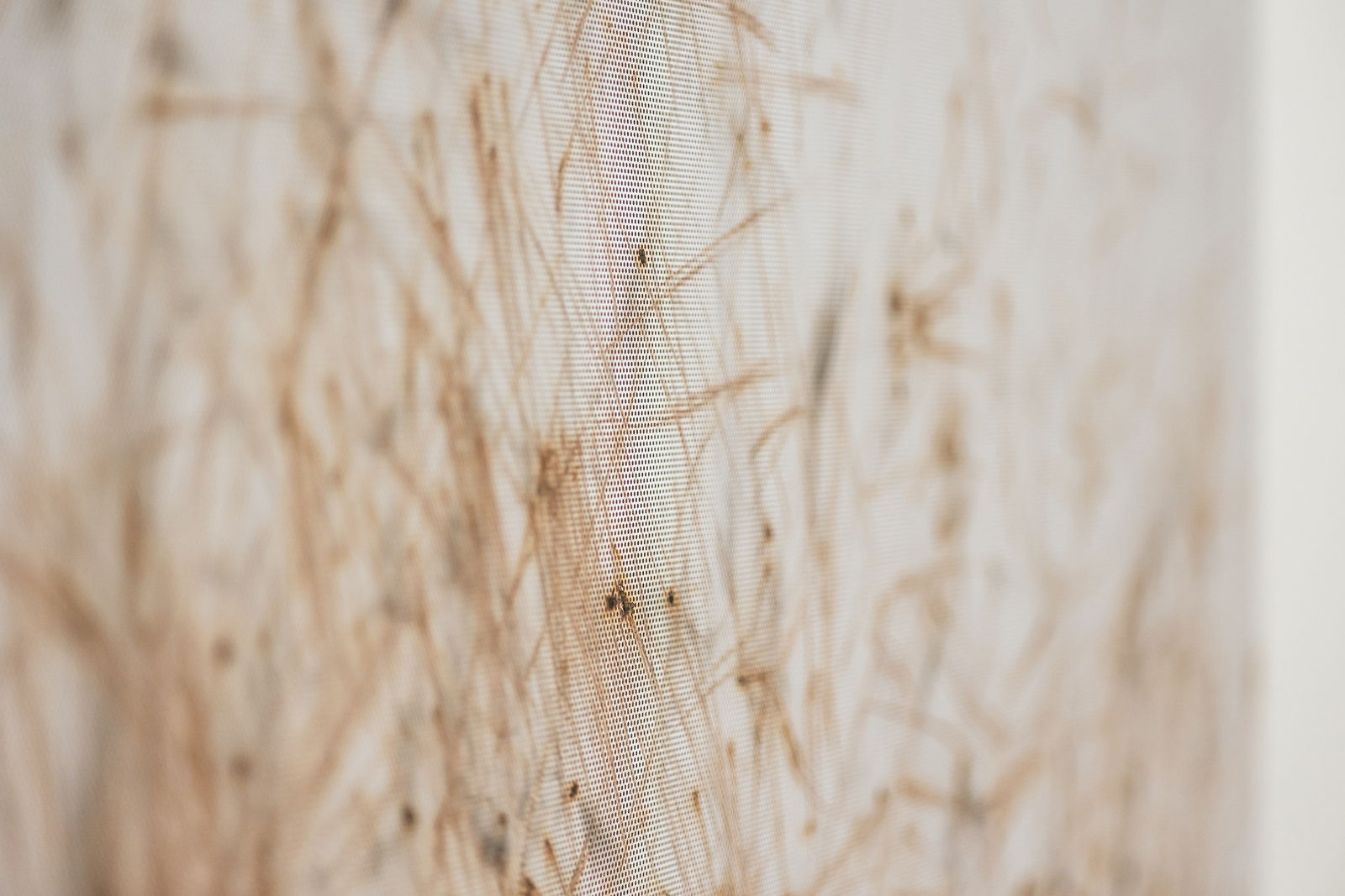 Thomas Wachholz, Matches 3, 2017