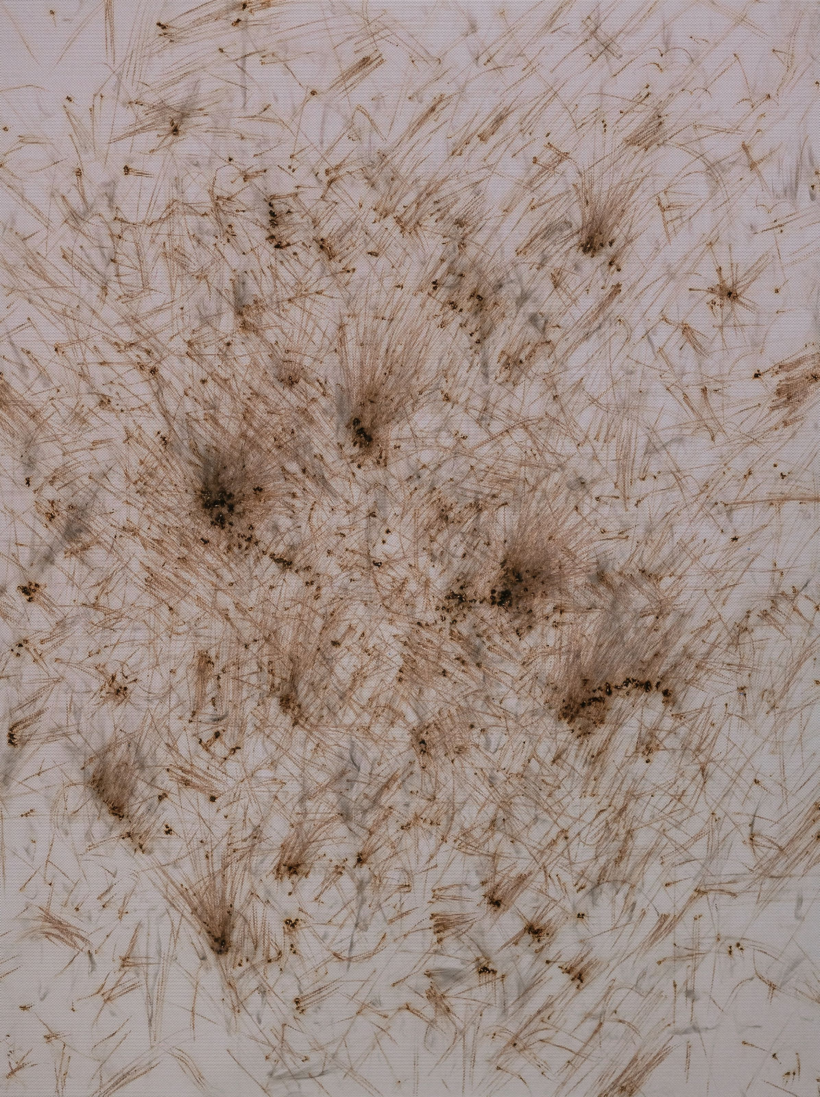 Thomas Wachholz, Matches 1, 2017