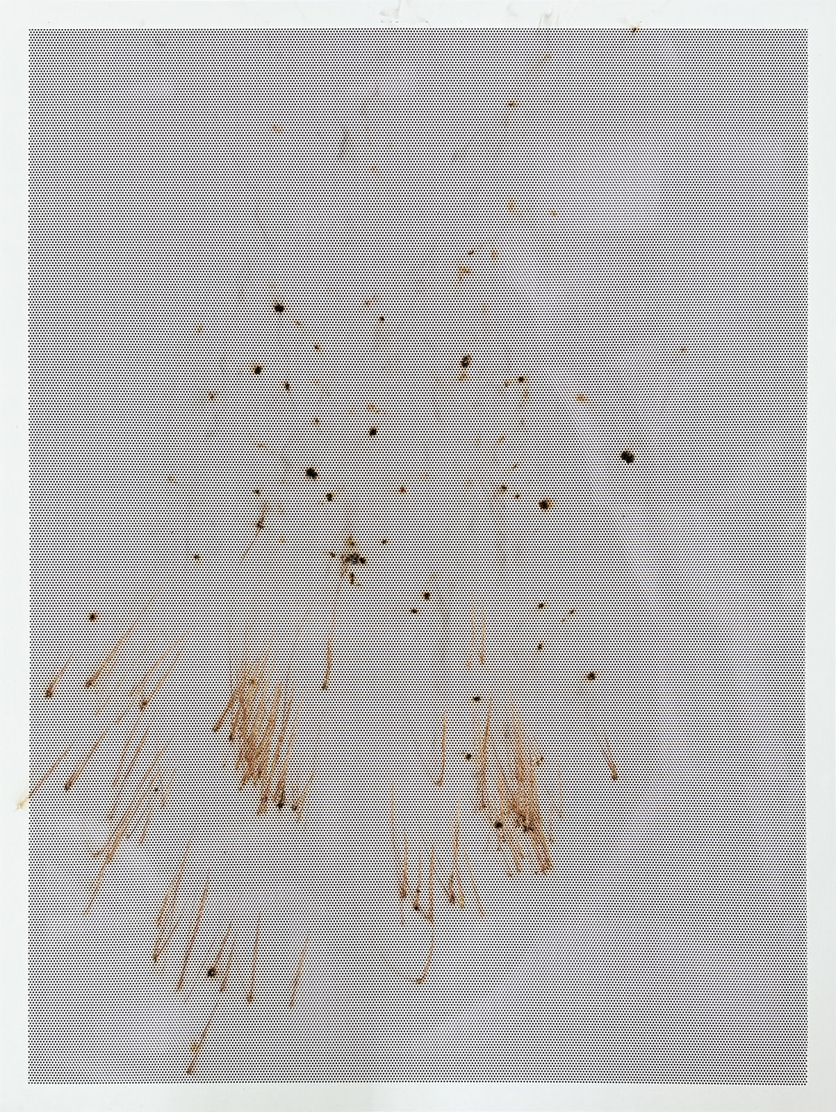 Thomas Wachholz, Honeycomb V , 2024