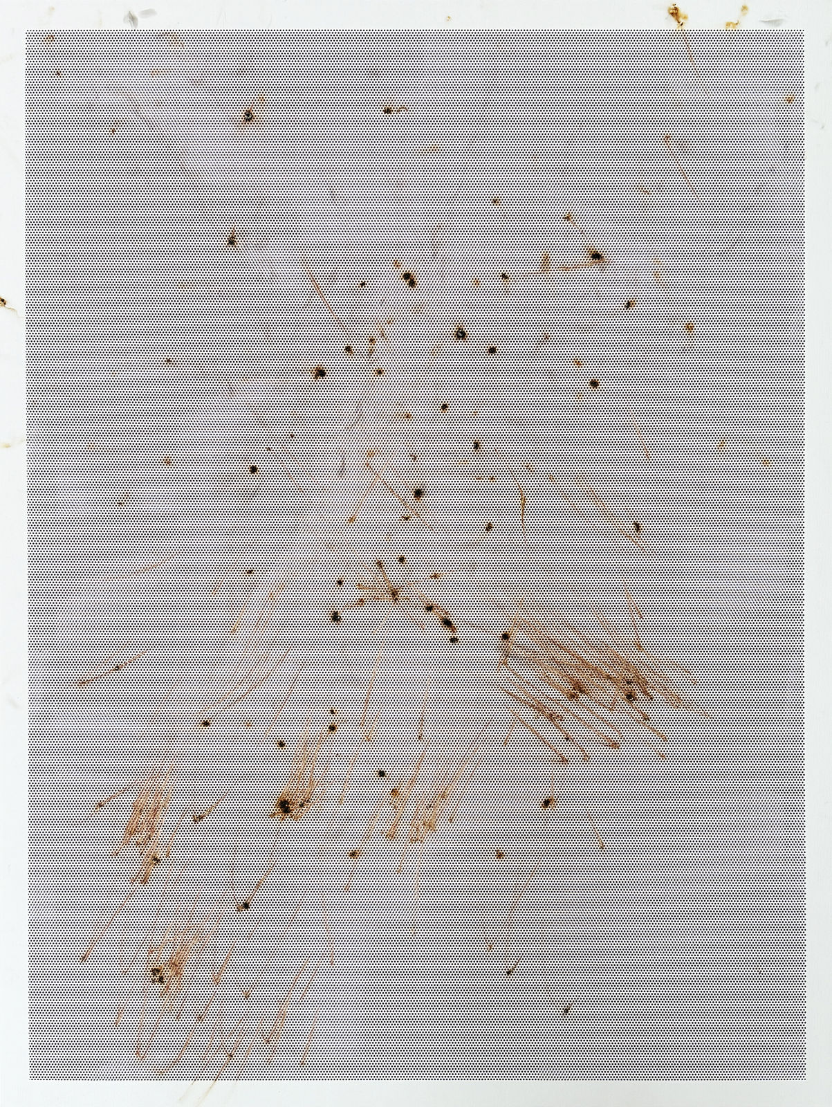 Thomas Wachholz, Honeycomb II , 2024