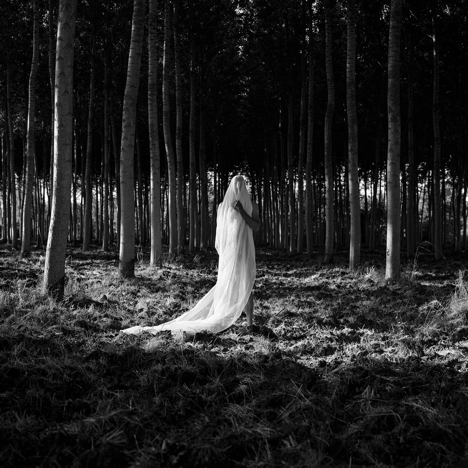 Stephanie Blomkamp, Untitled 02, 2014/15