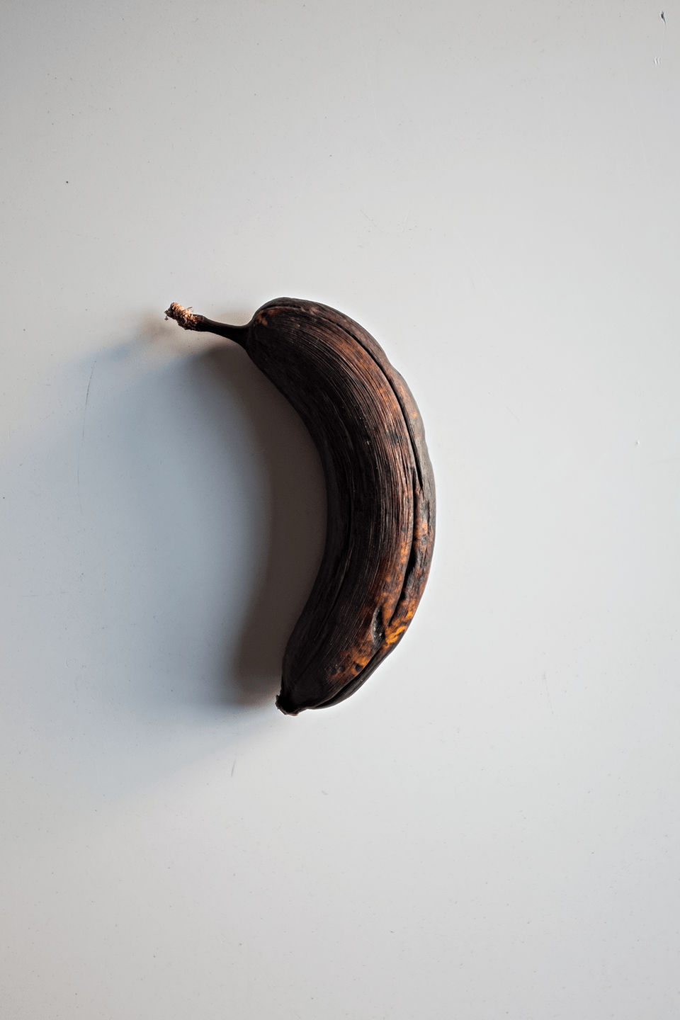 Anke Loots, Banana, Cape Town, 2015