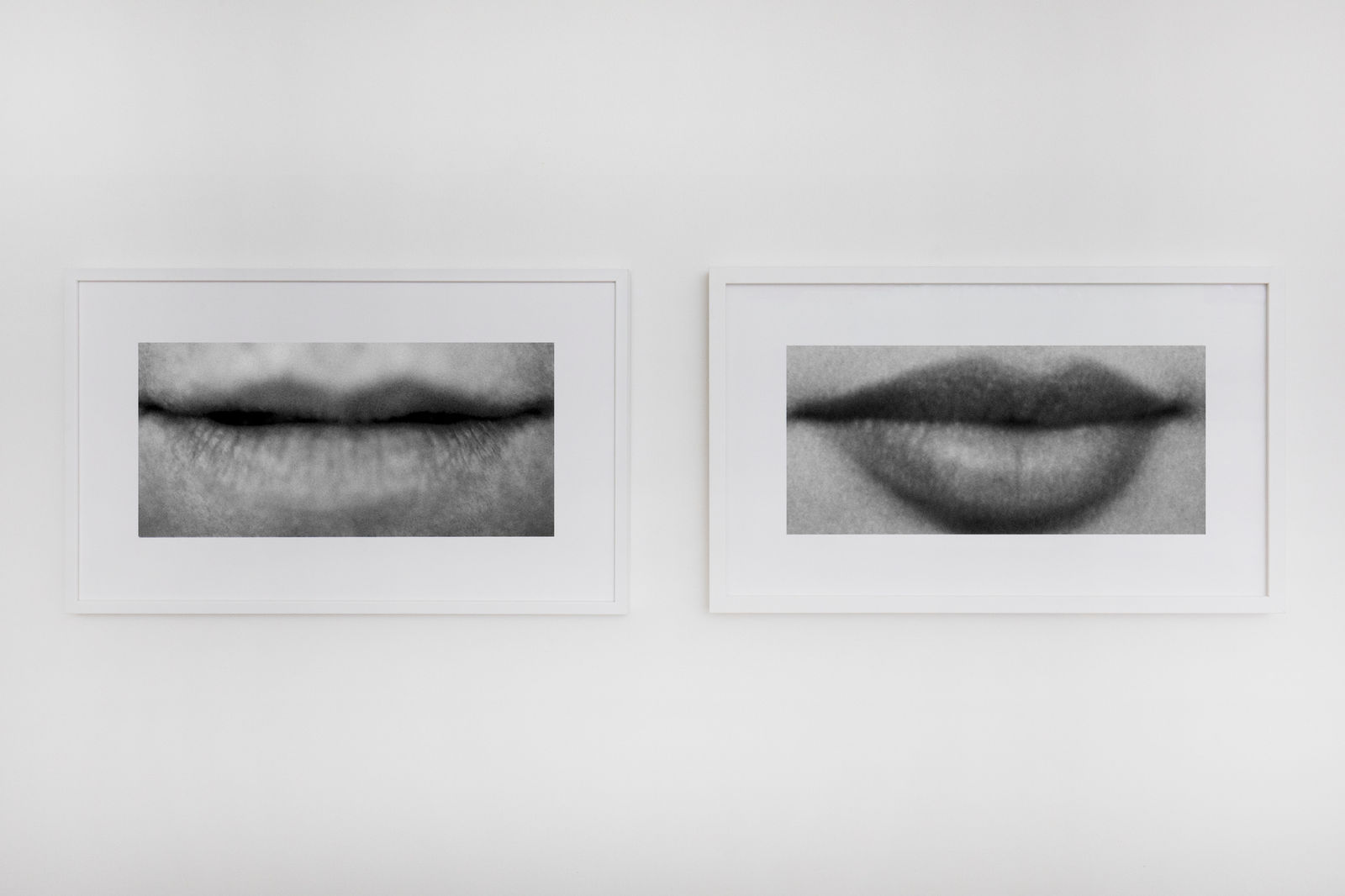 Sam Samore, SCHIZOPHRENIC BEAUTY (CONTINUED) (#14), 2025