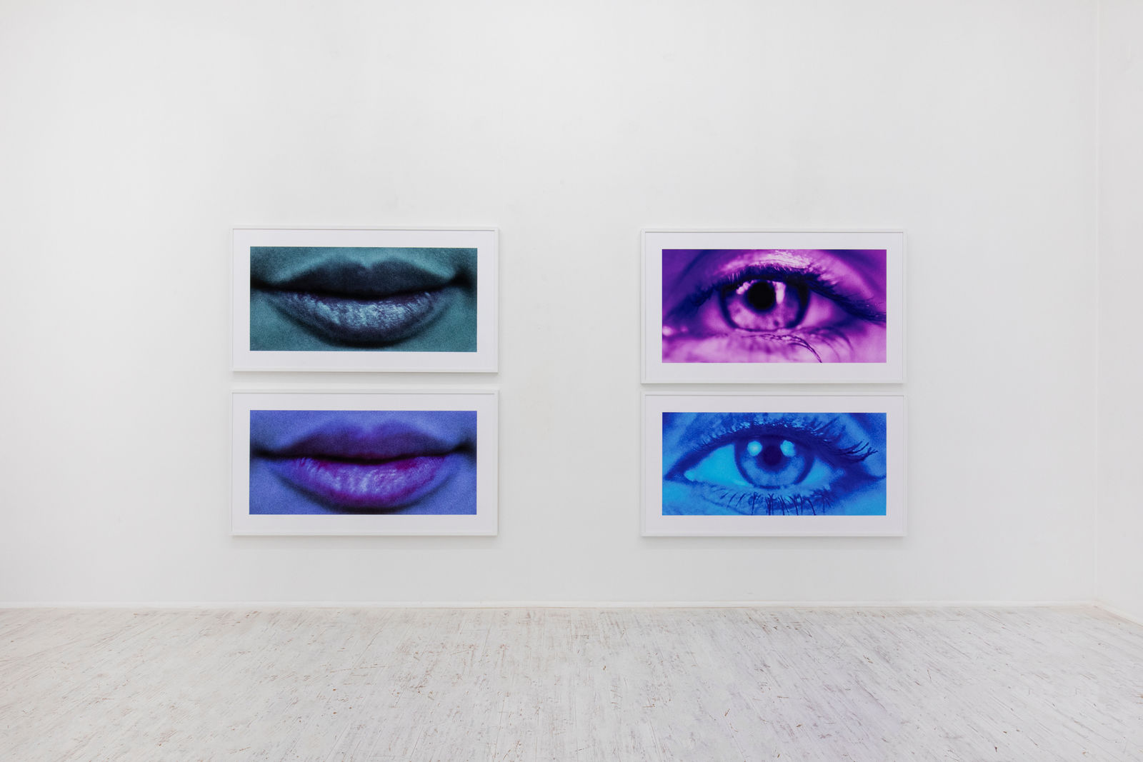 Sam Samore, MAUVE PATRICIA, 2025