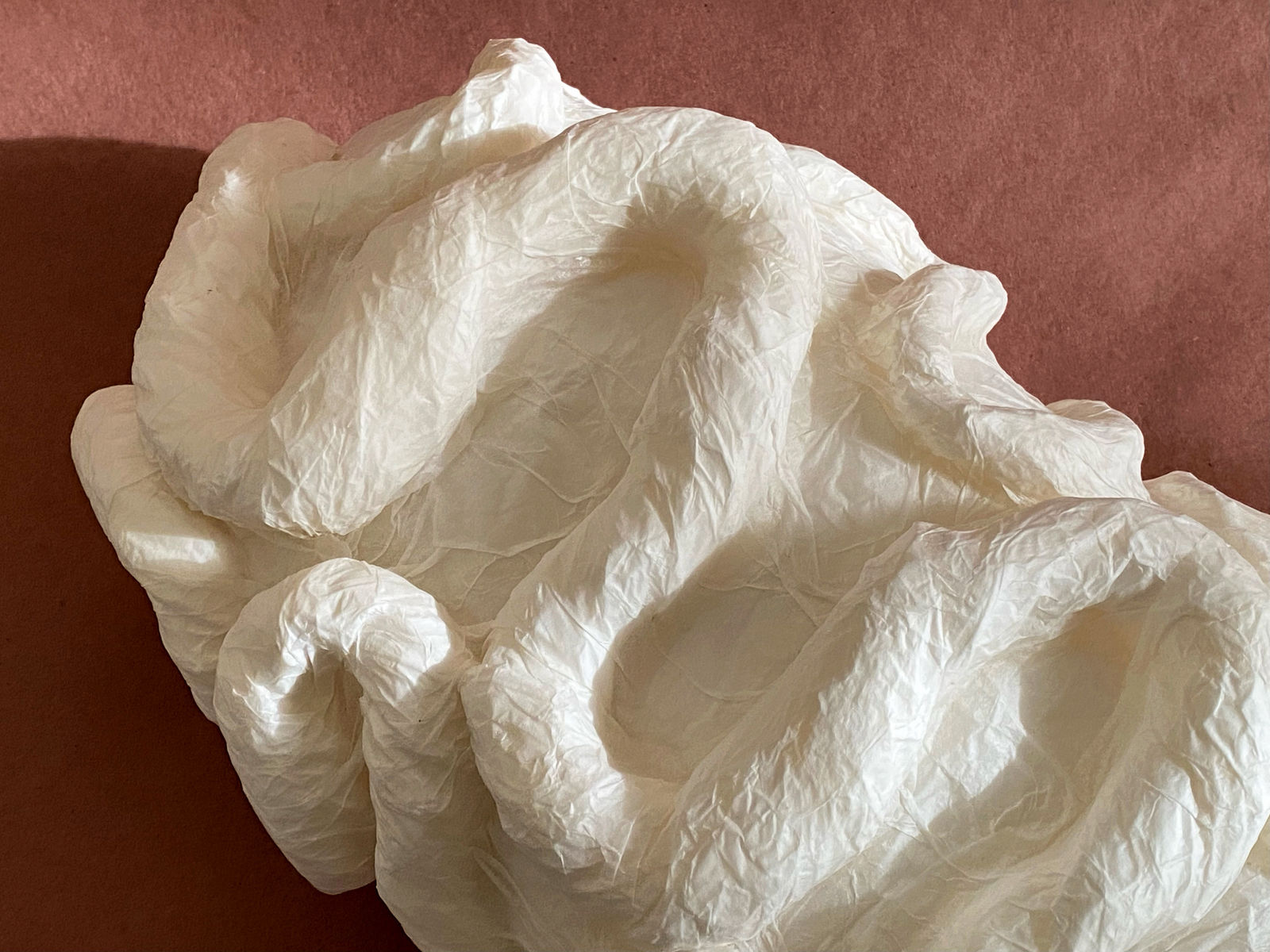 Elsa Mora, BLANK, 2023