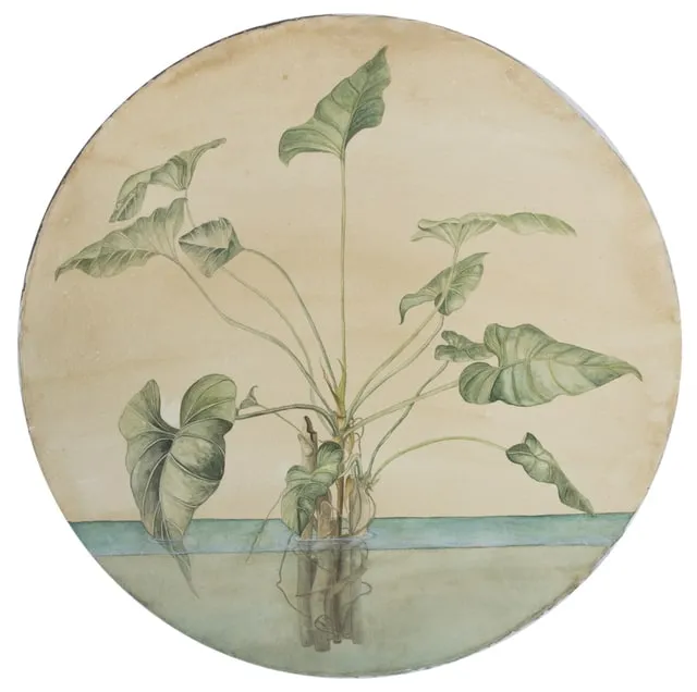 Gabriela Pez, Water Garden, 2019