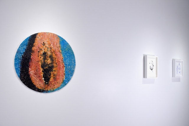 Dionnys Matos, Papaya, 2020