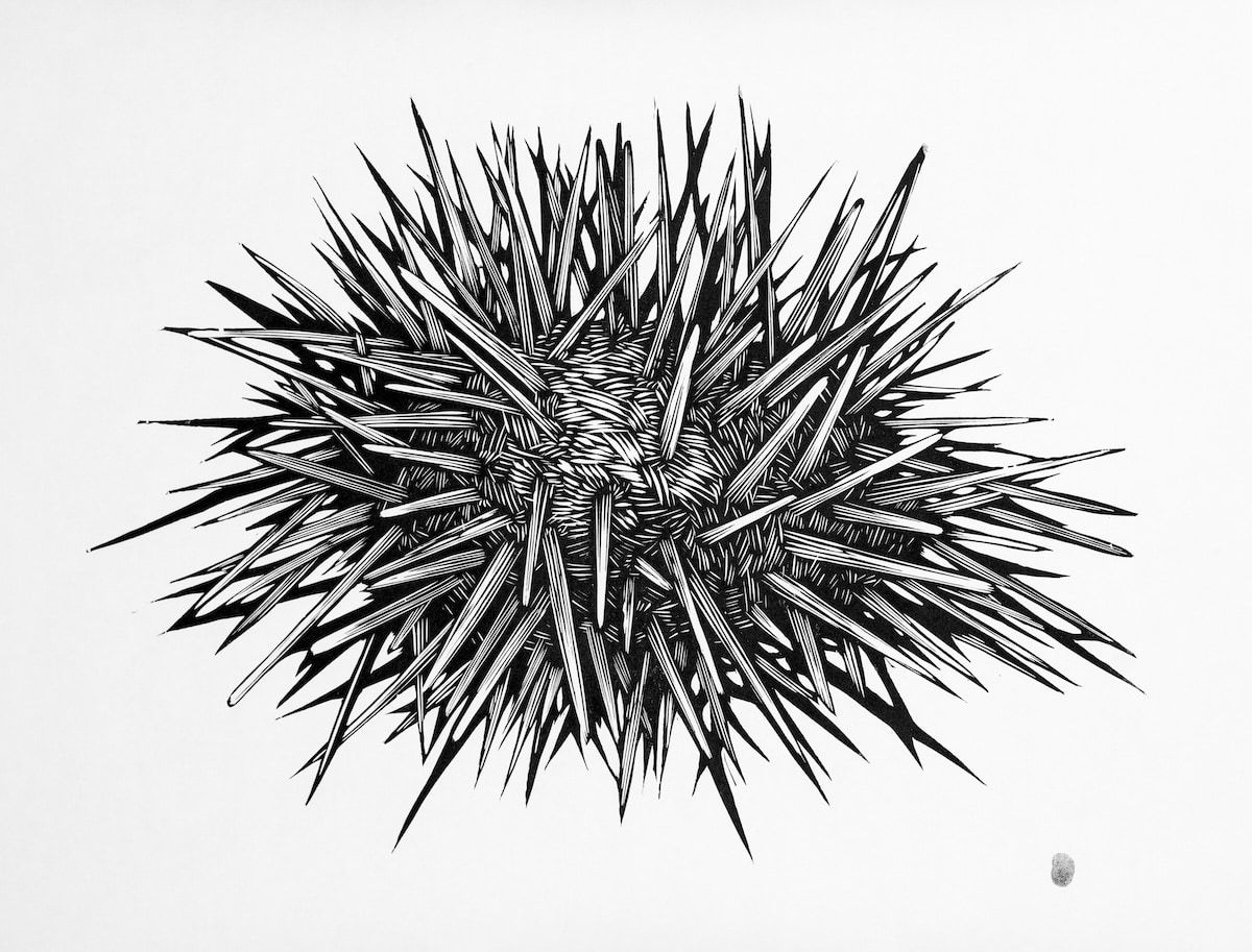 Osmeivy Ortega, Una manera de amar (A way to love), 2024